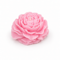 Bloom Rose Shaped Scented Candle (Pink)(approx-100gm)